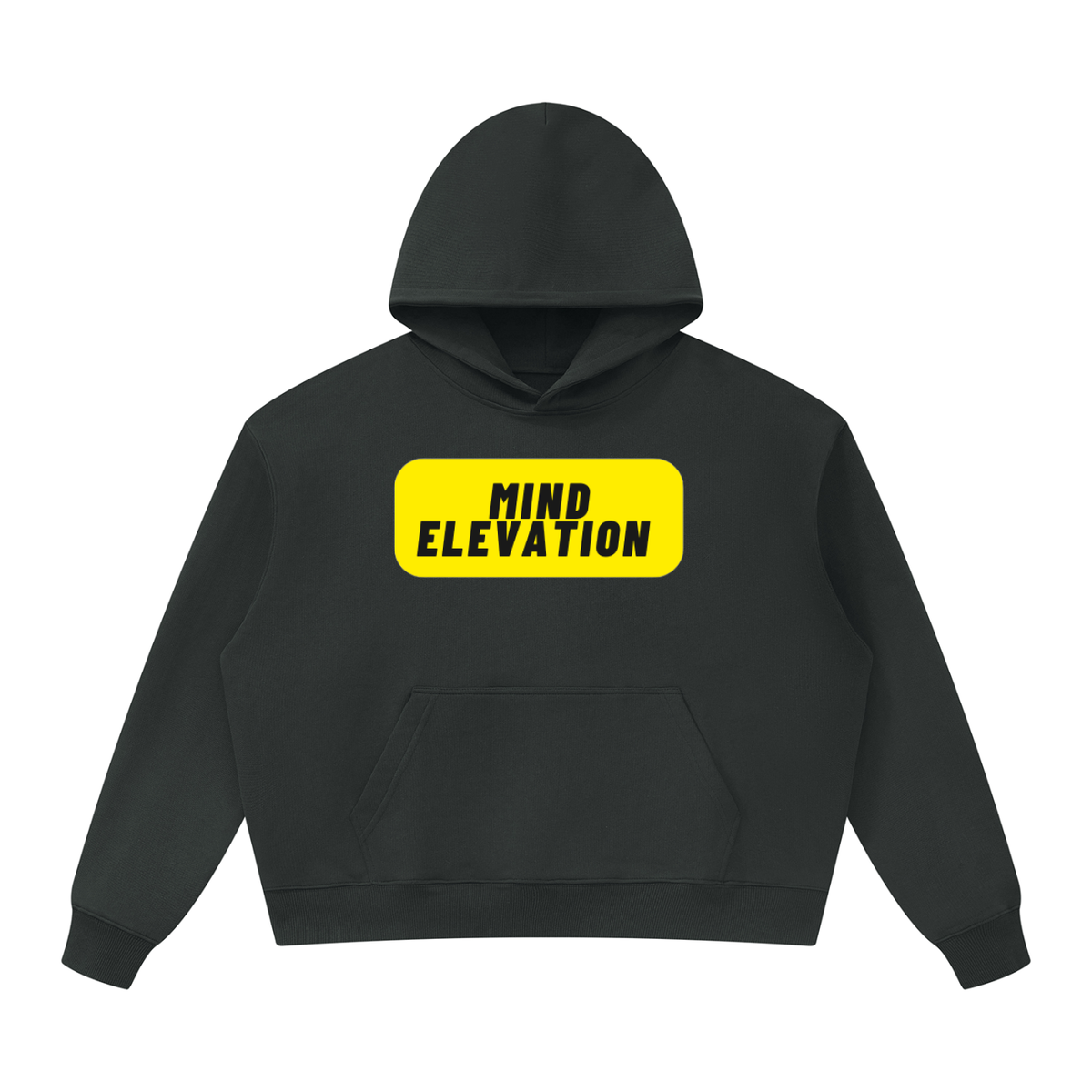 PW Oversized Heavyweight "Mind Elevation"  Hoodie